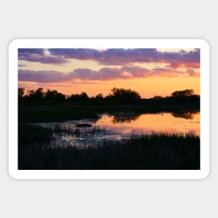 Perfect Pastel Spring Sunset Sticker